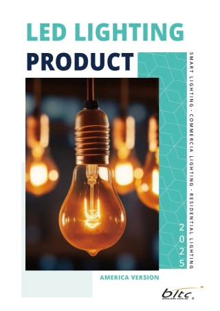 Beautiful Light Technology Corp.